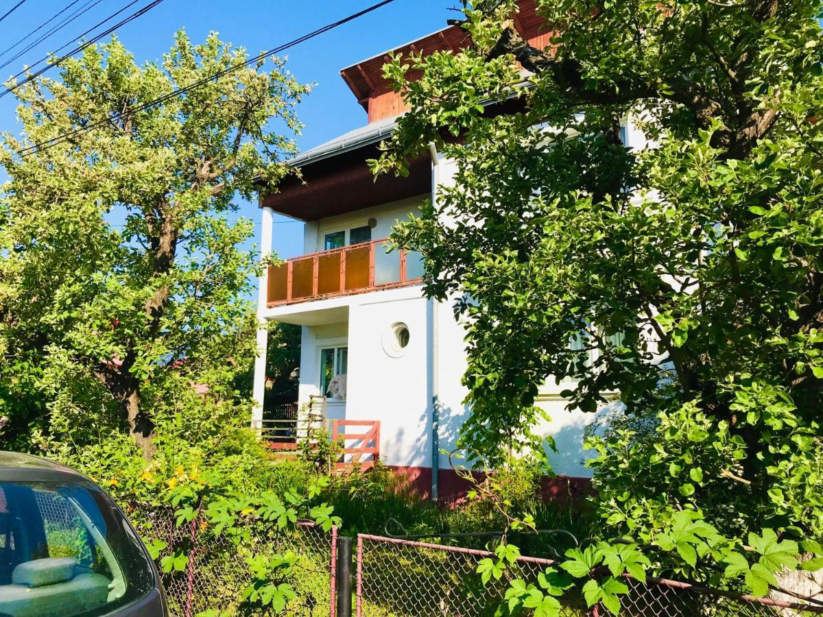 Apartament Vica Gura Humorului Bagian luar foto