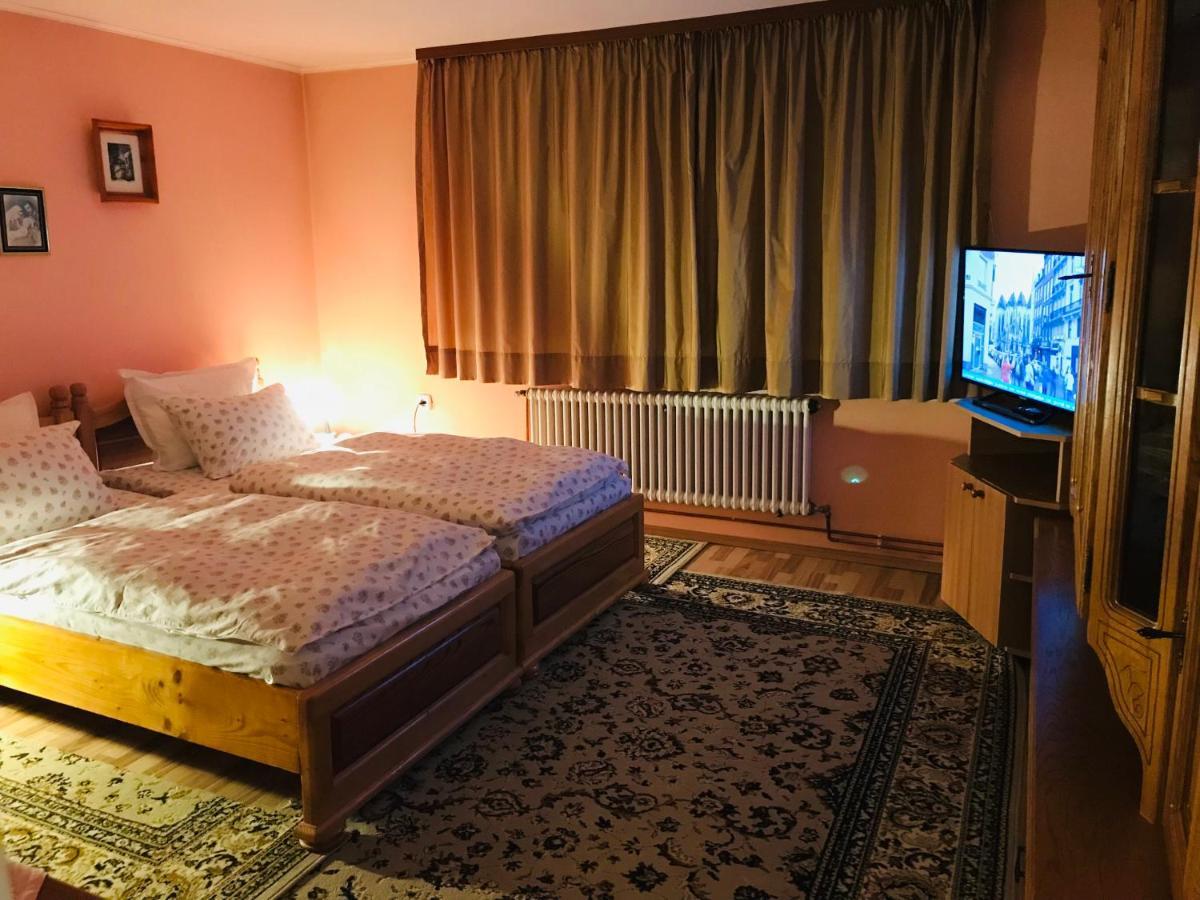 Apartament Vica Gura Humorului Bagian luar foto