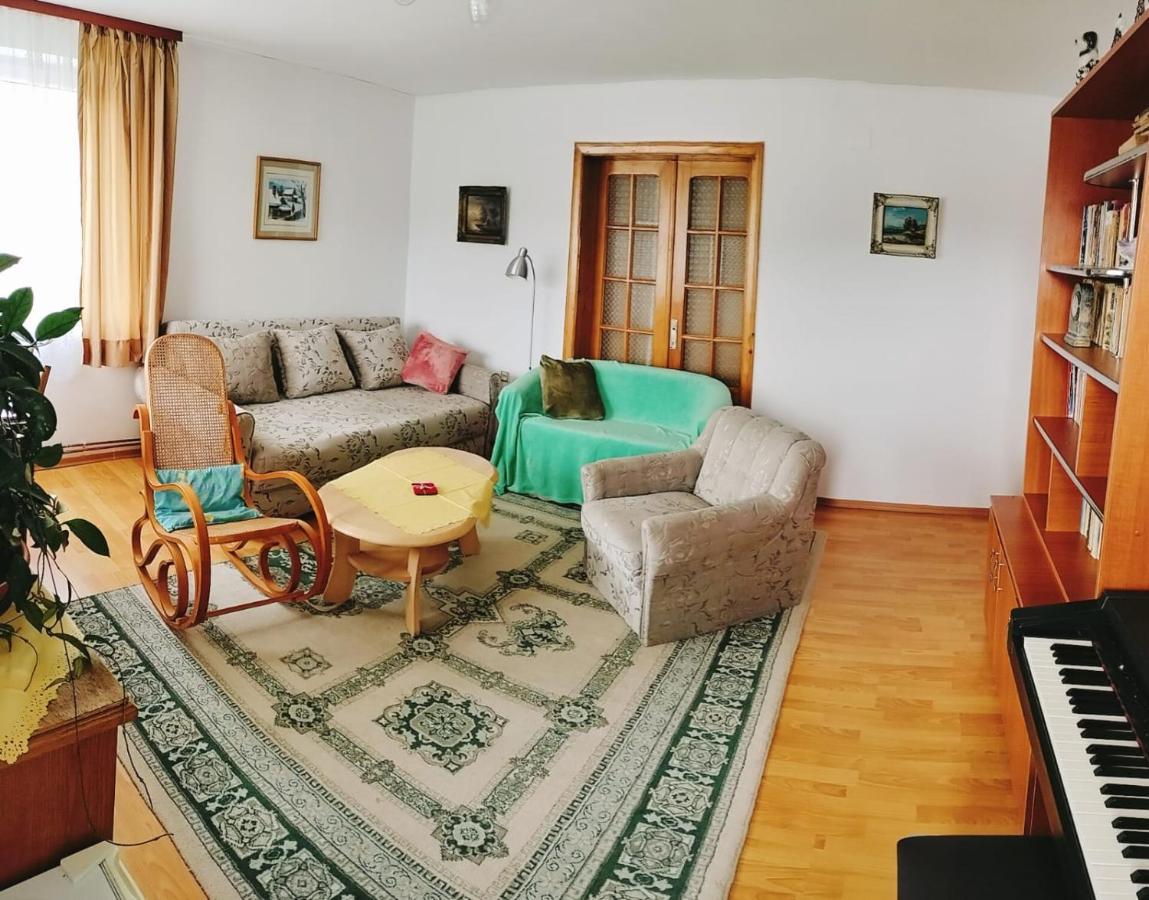 Apartament Vica Gura Humorului Bagian luar foto